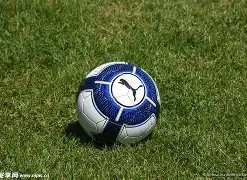 中国男足国,家队新一期,阵容正式公,好博体育官网,APP下载,注册领彩金,官方网站,网站入口